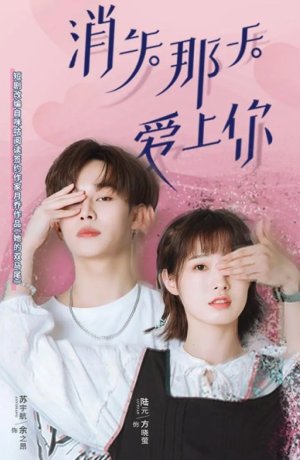 Дорама Исчезающая любовь онлайн