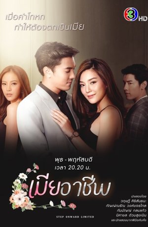 Дорама Профессиональная жена онлайн